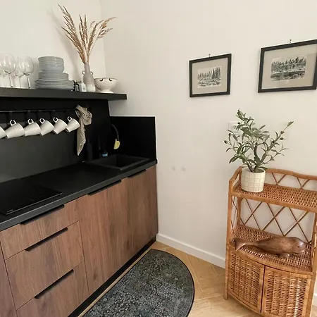 Polański W Rynku Szaflar - Nowoczesne, Sala Zabaw, Blisko Term, 20 Procent Na Gorący Potok Apartament Szaflary