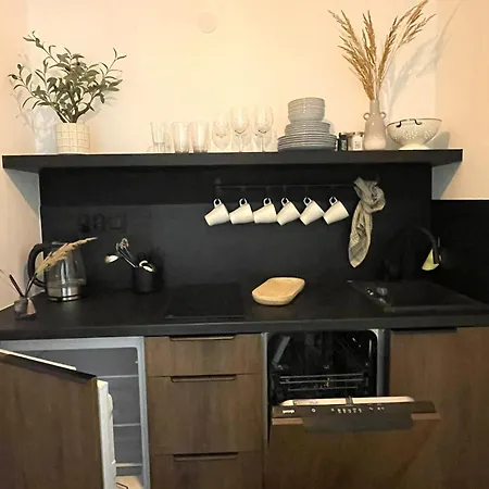 Ap Polanski - 100-letni Klimat W Nowoczesnym Wydaniu Apartment