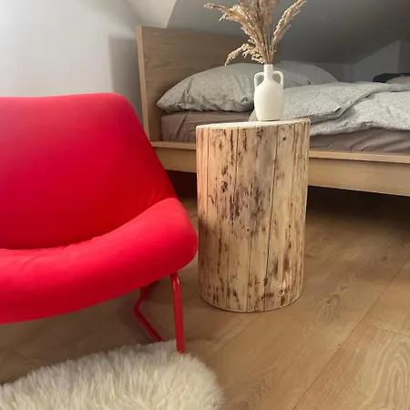 Apartment Ap Polanski - 100-letni Klimat W Nowoczesnym Wydaniu Szaflary