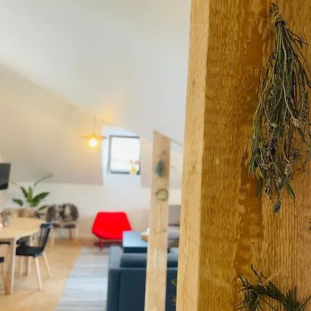Apartament Polański W Rynku Szaflar - Nowoczesne, Sala Zabaw, Blisko Term, 20 Procent Na Gorący Potok