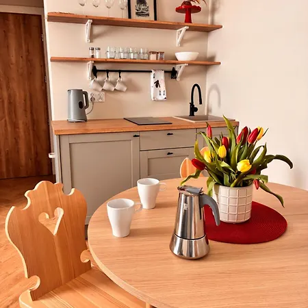 Apartament Polański W Rynku Szaflar - Nowoczesne, Sala Zabaw, Blisko Term, 20 Procent Na Gorący Potok Szaflary